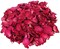 150 Grams/ 5.3 OZ Natural Real Red Rose Flower Petals Dried Rose Petal for Wedding Decoration Bath Foot Bath Wedding Confetti Crafts